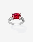 Ring Ruby & Diamonds White Gold